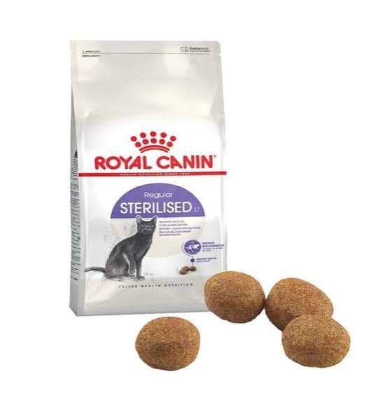 ROYAL CANİN KISIR KEDİ MAMASI 4 KG