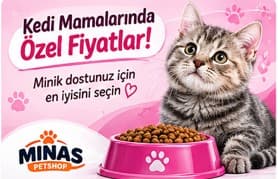Yetişkin Kedi Maması
